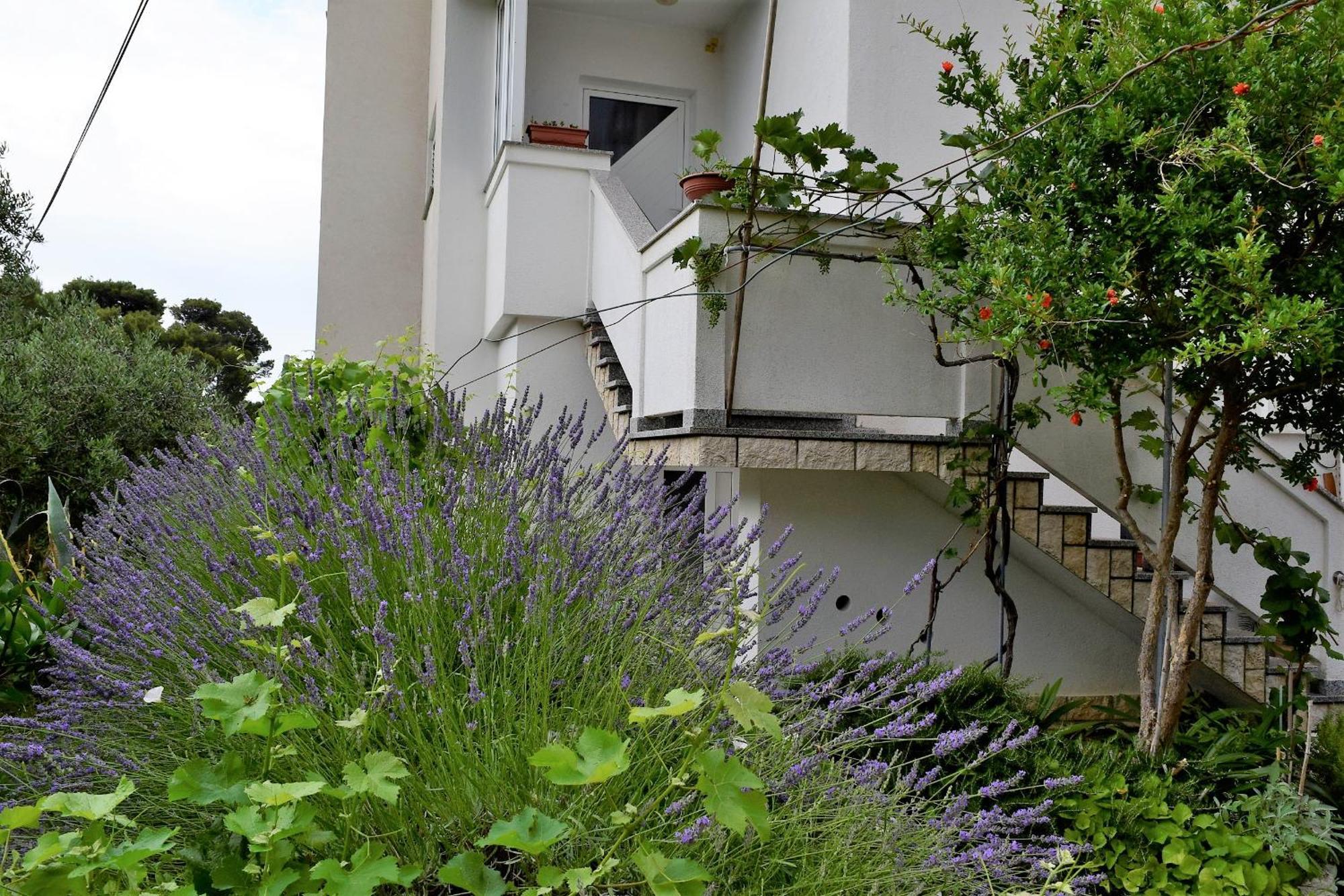 Sunnyy Beacch Apartments Banjol Bilik gambar